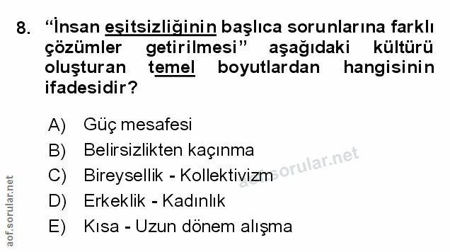 Soru 8