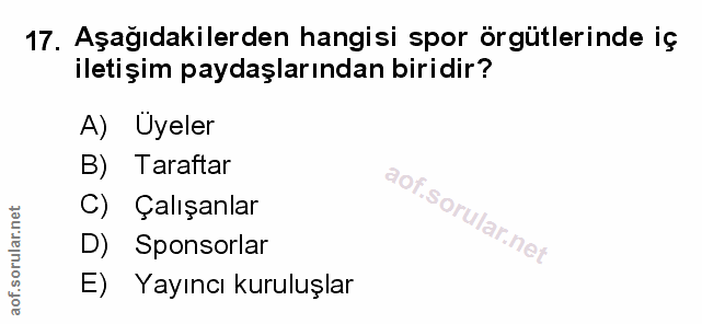 Soru 17