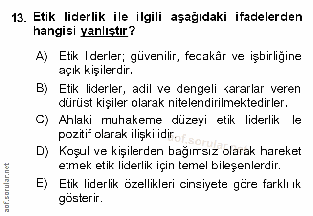 Soru 13