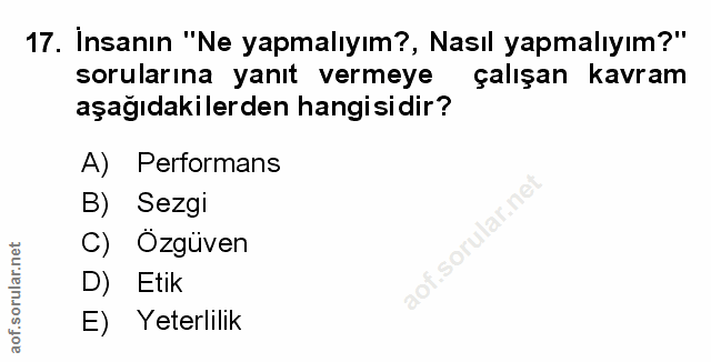 Soru 17