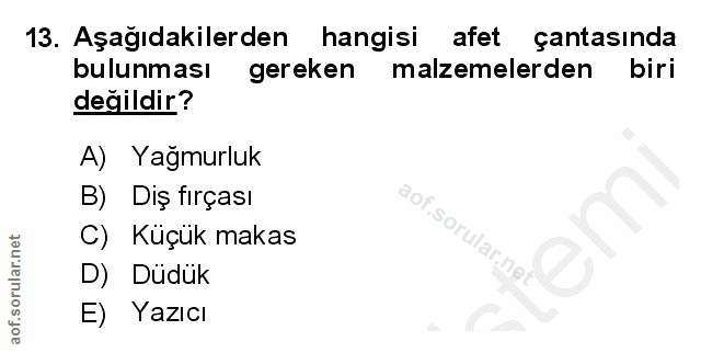 Soru 13