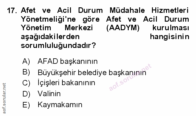 Soru 17