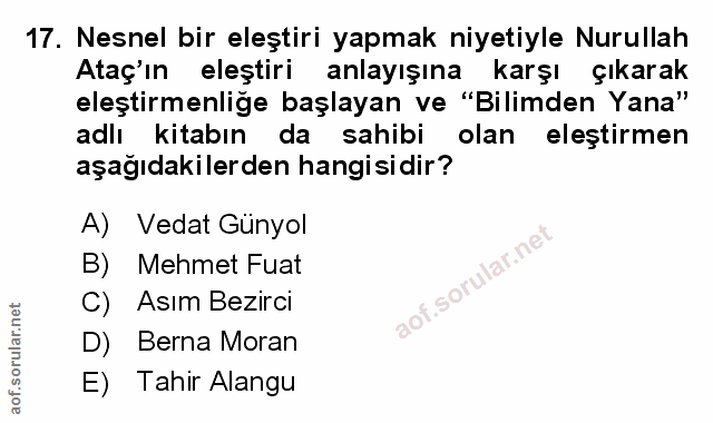 Soru 17
