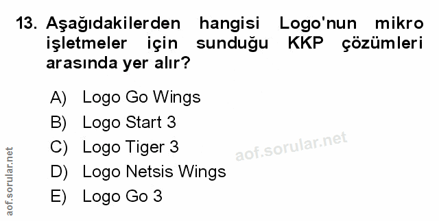 Soru 13