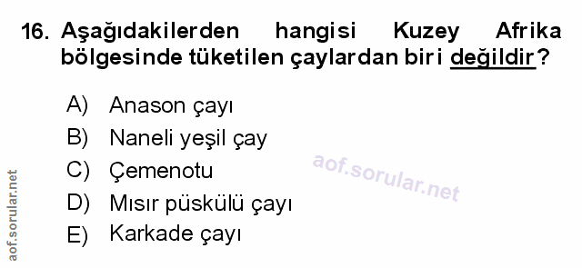 Soru 16
