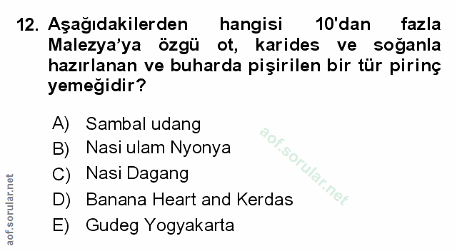 Soru 12