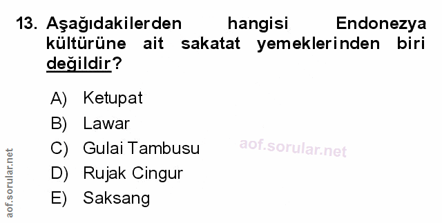Soru 13