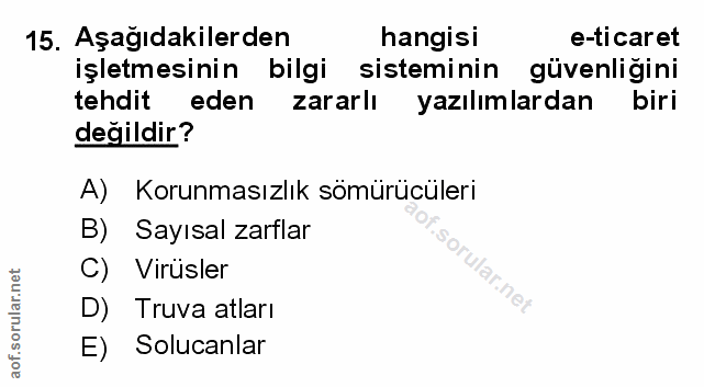 Soru 15