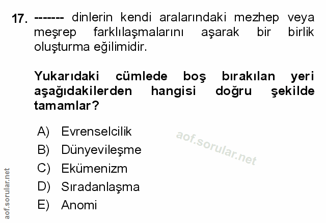 Soru 17