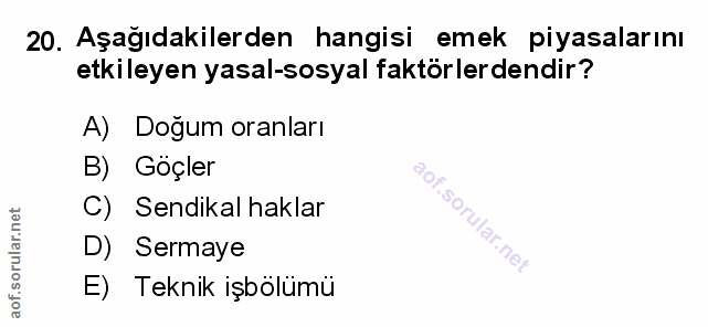 Soru 20