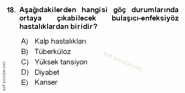 Soru 18