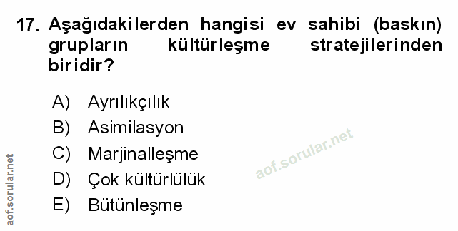 Soru 17