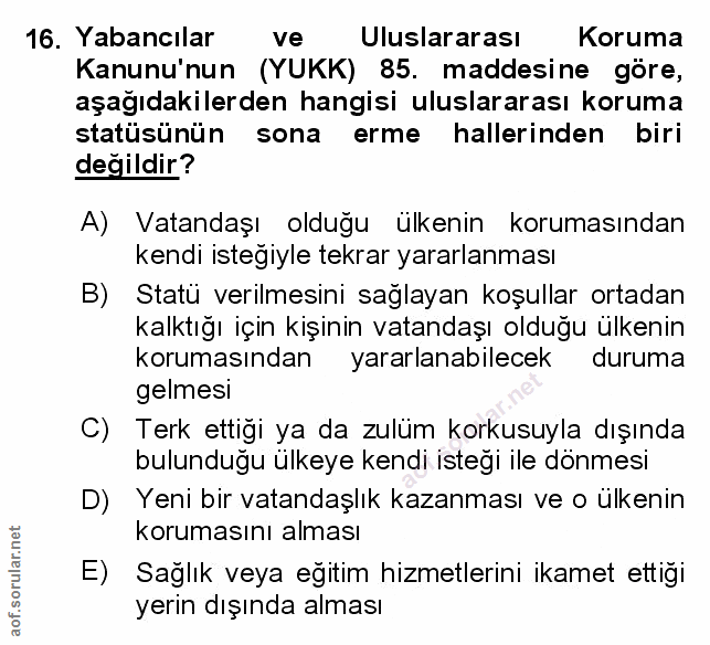 Soru 16