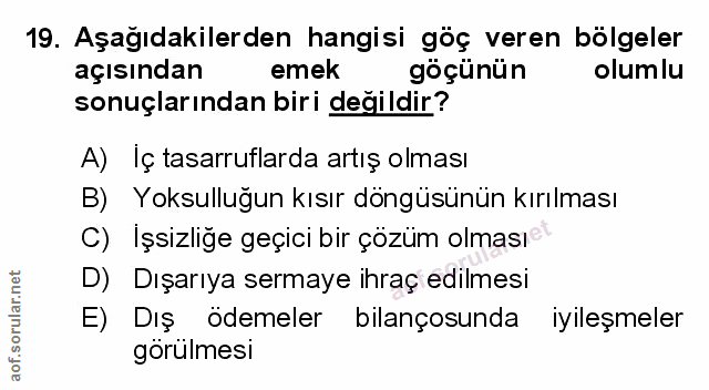 Soru 19