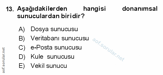 Soru 13