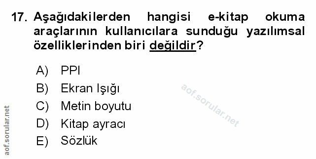 Soru 17