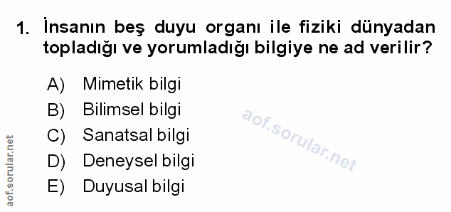 Soru 1
