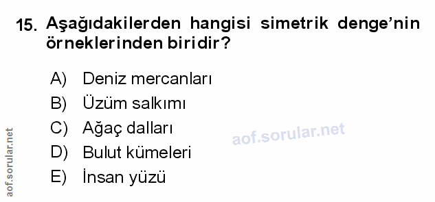 Soru 15