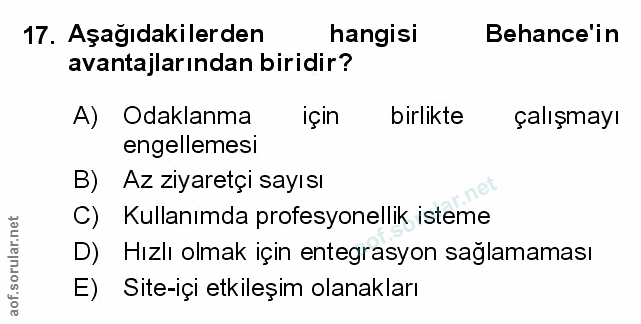 Soru 17