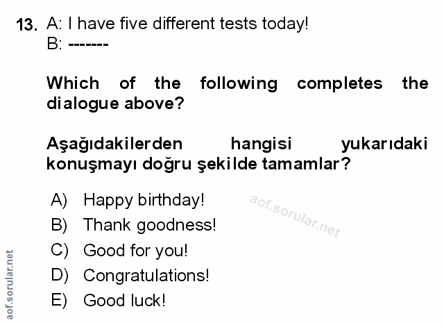 Soru 13