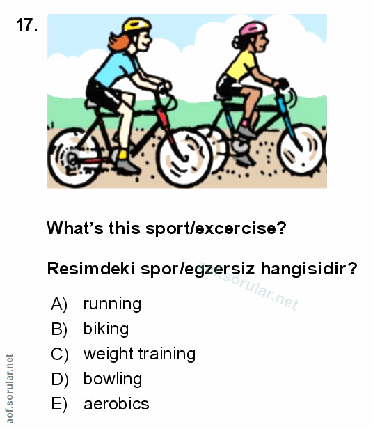 Soru 17