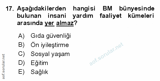Soru 17