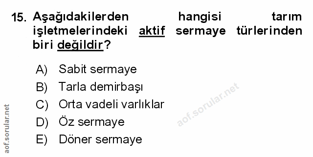 Soru 15