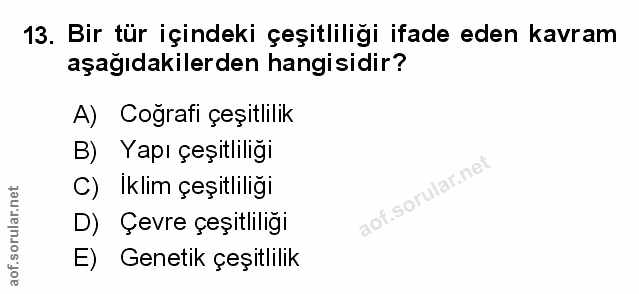 Soru 13