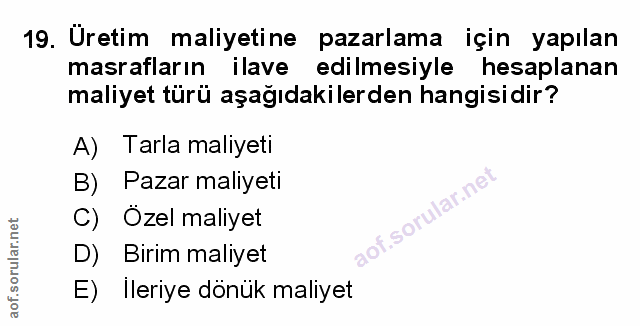 Soru 19