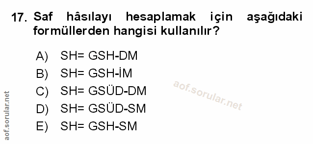 Soru 17