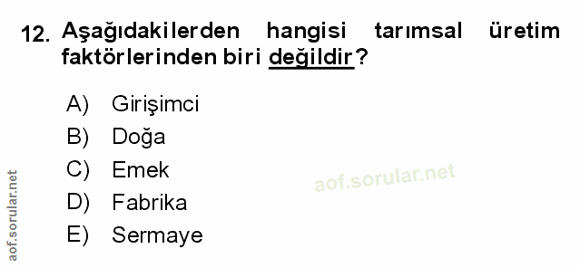 Soru 12