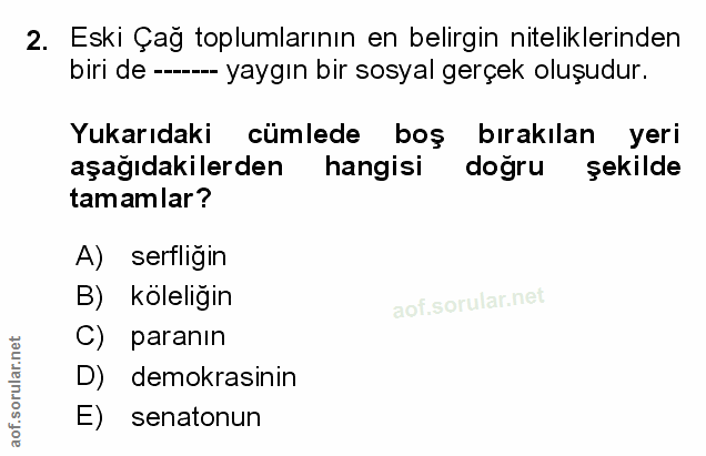 Soru 2