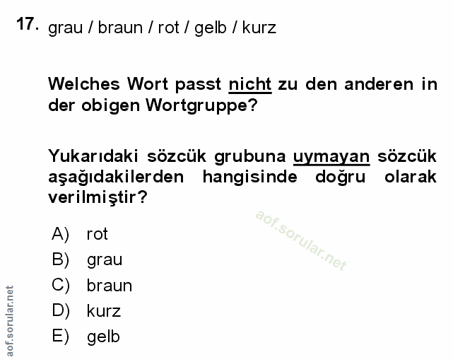 Soru 17