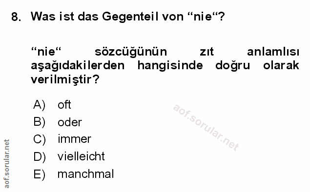 Soru 8
