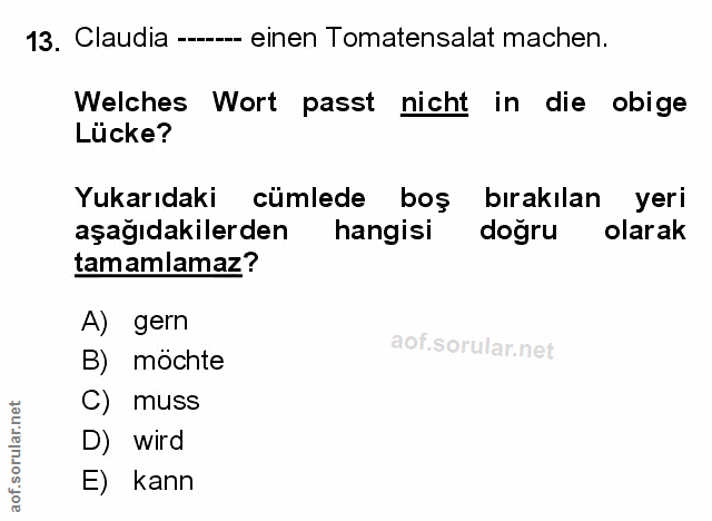 Soru 13