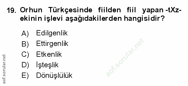 Soru 19