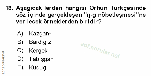 Soru 18