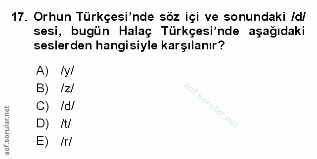 Soru 17