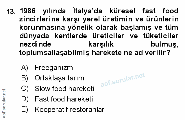 Soru 13