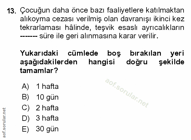 Soru 13