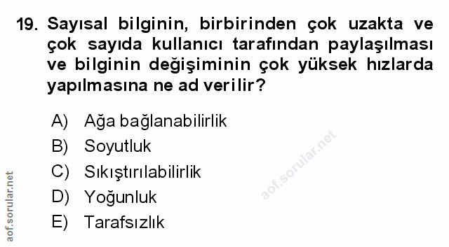 Soru 19