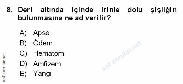 Soru 8
