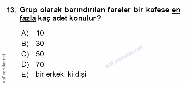 Soru 13