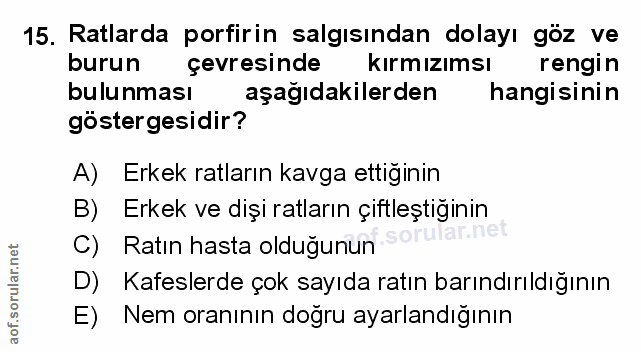 Soru 15