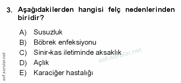 Soru 3