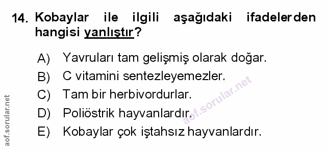Soru 14