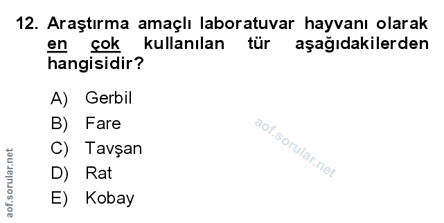 Soru 12