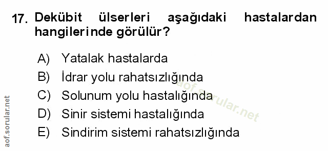 Soru 17