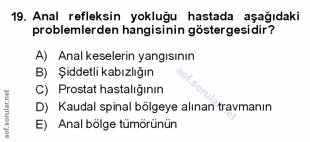 Soru 19