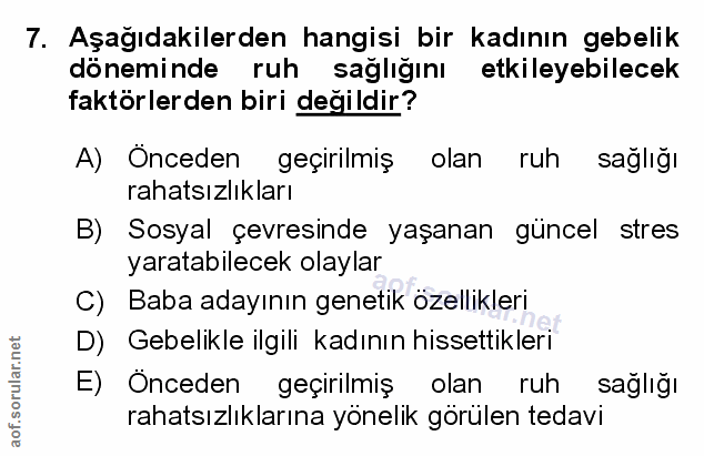 Soru 7